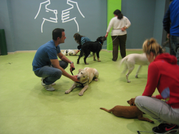 curso-obediencia-cachorros-zaragoza-canina-marzo-13-5