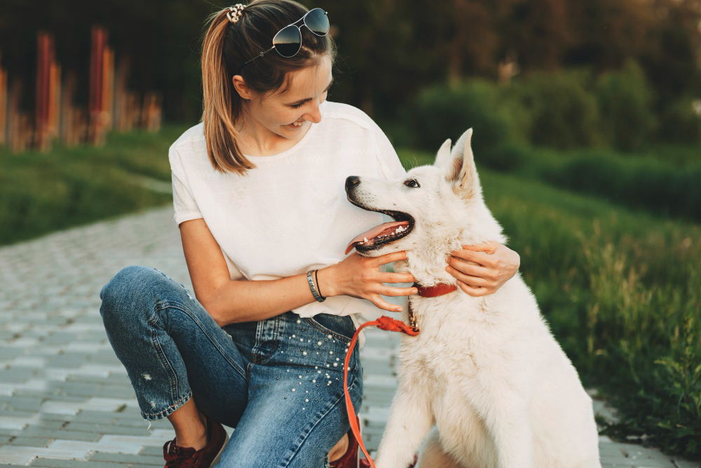 obediencia-perros-adultos-zaragoza-canina