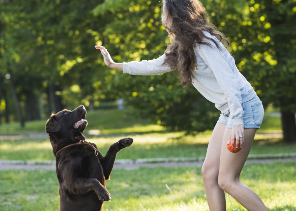 side-view-woman-having-fun-with-her-dog-garden_250228140258 (1)