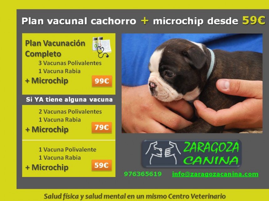 Vacunación para Cachorros
